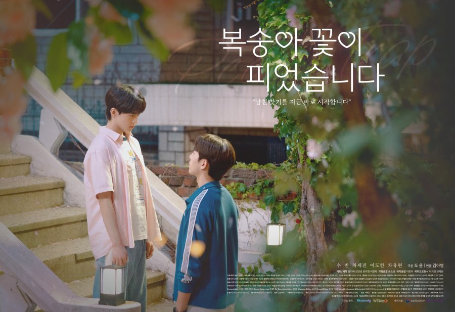 Armadilha de Pêssego